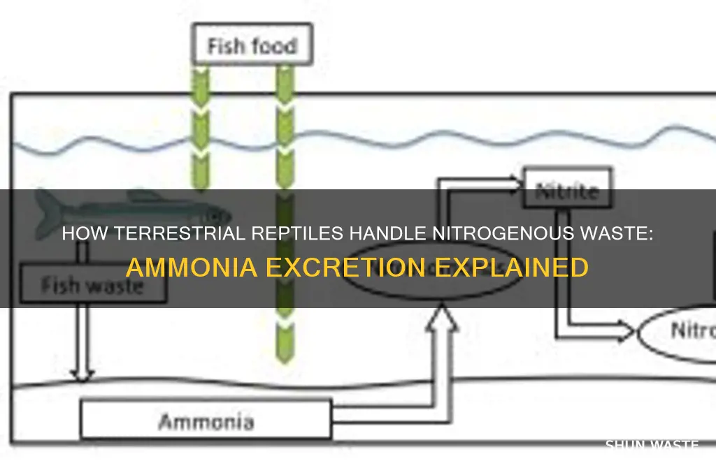 do terrestrial reptiles excrete their nitrogenous wastes as ammonia