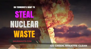 Nuclear Waste: A Terrorist Target or Misguided Fear?