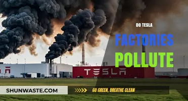 Tesla's Green Myth: Factories' Pollution Problem