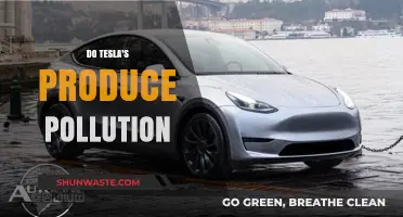 Tesla Cars: Pollution-Free or Not?
