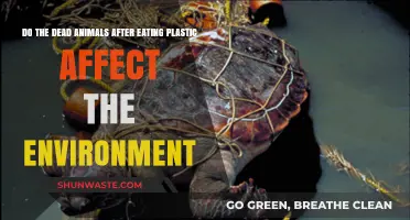 Dead Animals and Plastic: Environmental Impact of Ingested Waste