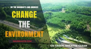 How Highways and Bridges Impact the Environment: A Comprehensive Analysis