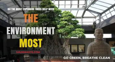 Expensive Trees: Do High Costs Equal Greater Environmental Benefits?