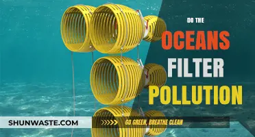 How Oceans Act as Natural Pollution Filters