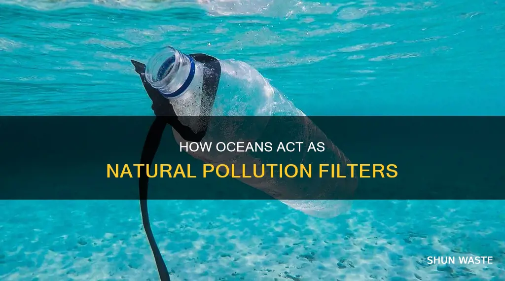 do the oceans filter pollution