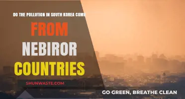 South Korea's Pollution: Domestic or Foreign?