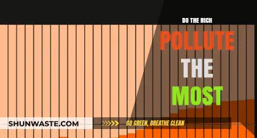 Who Pollutes More? The Rich and Their Dirty Secrets