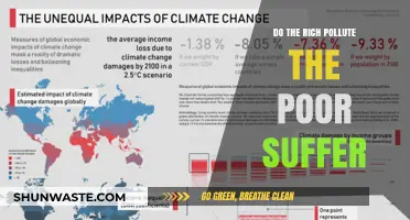 Pollution's Dark Side: Rich Pollute, Poor Suffer