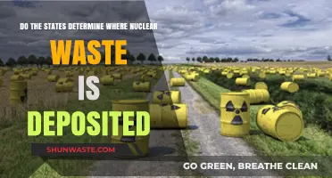 State Authority Over Nuclear Waste Disposal: Who Decides Where It Goes?