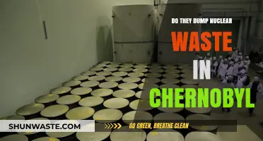Chernobyl's Nuclear Waste Disposal: Fact or Fiction?