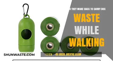 Eco-Friendly Dog Walking: Best Bags for Carrying Pet Waste