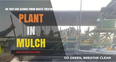 Is Sludge from Waste Treatment Plants Used in Mulch?