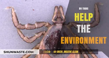 Ticks' Ecological Role: Uncovering Their Surprising Environmental Contributions