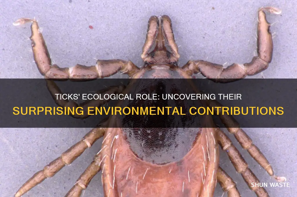 do ticks help the environment