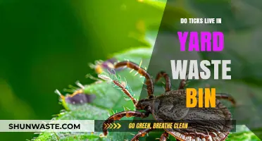 Ticks in Yard Waste Bins: Risks, Prevention, and Safe Disposal Tips
