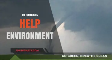 Tornadoes' Environmental Impact: Destruction or Nature's Renewal Mechanism?