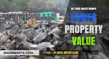 Toxic Waste Dumps: Impact on Property Values and Neighborhoods