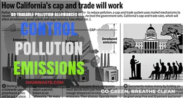 Pollution Trading: Effective Control or Corporate Loophole?