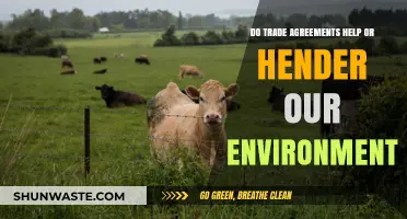 Trade Agreements: Environmental Ally or Hindrance? Exploring the Impact