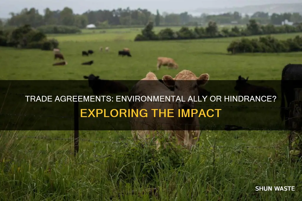 do trade agreements help or hender our environment