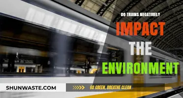 Trains and the Environment: Assessing Their Ecological Impact and Sustainability