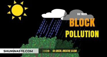 Trees: Natural Pollution Blockers and Air Purifiers