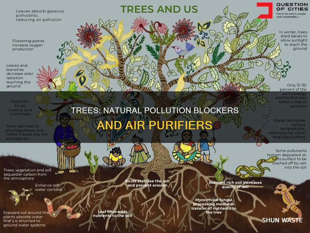 do trees block pollution