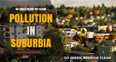 Trees: Filtering Ozone Pollution in Suburban Areas