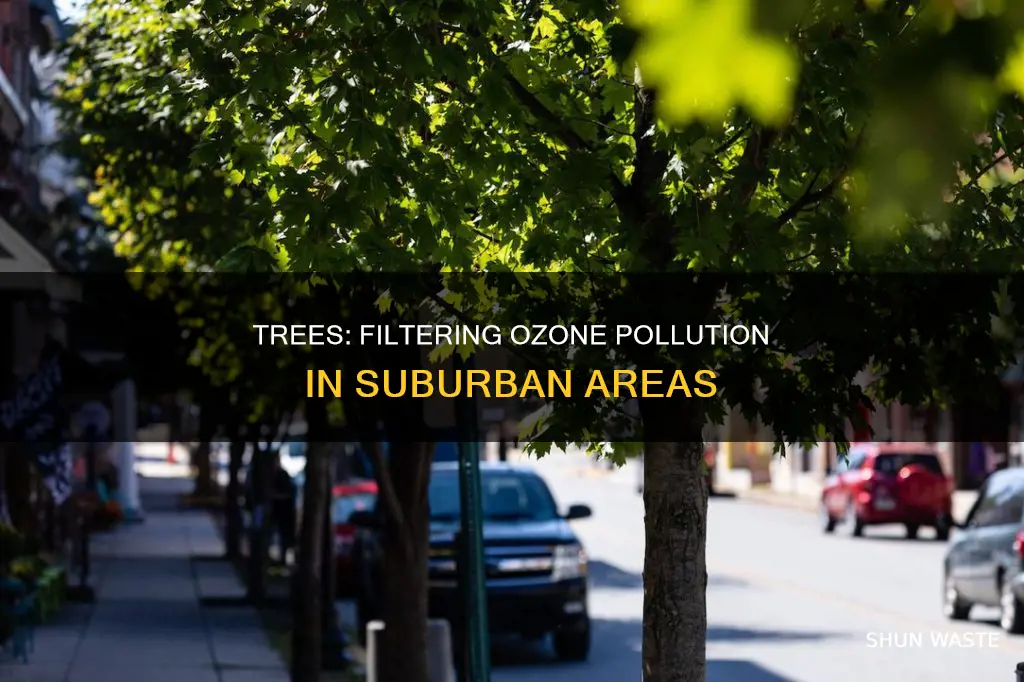 do trees filter out ozone pollution in suburbia