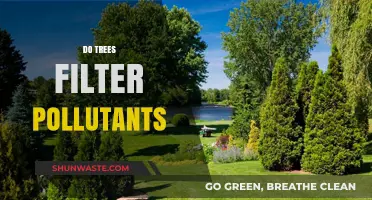 Trees: Natural Air Purifiers and Pollution Fighters