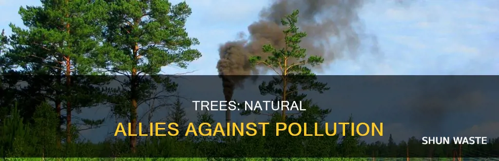 do trees help fight pollution