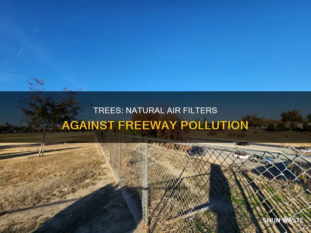 do trees help filter freeway pollution