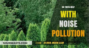 Trees: Natural Noise Pollution Solution