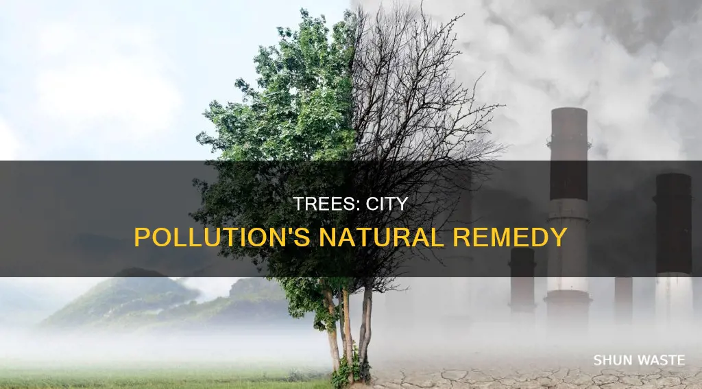 do trees help with pollution cities skylines