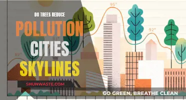 Trees: City Pollution Fighters and Air Purifiers