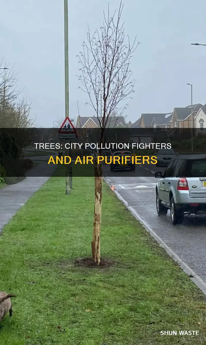 do trees reduce pollution cities skylines