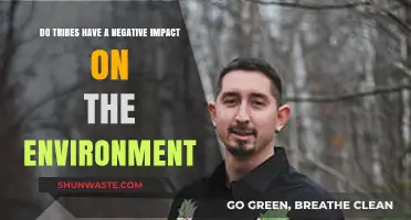 Tribes and Environment: Unraveling the Ecological Impact of Indigenous Practices