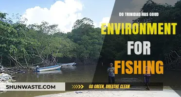 Trinidad's Fishing Paradise: Exploring Its Rich Marine Environment and Opportunities