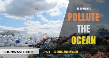 Tsunami's Impact: Ocean Pollution and Devastation