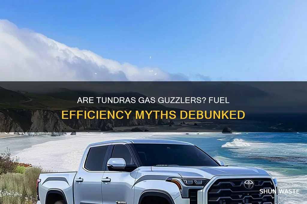 do tundras waste a lot of gas