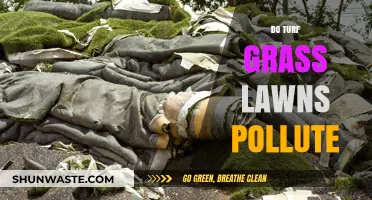Turf Grass Lawns: Polluting or Not?