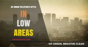 Air Pollutants: Why Do They Settle in Low-Lying Areas?