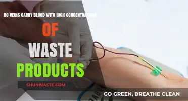 Do Veins Transport Blood Rich in Waste Products?