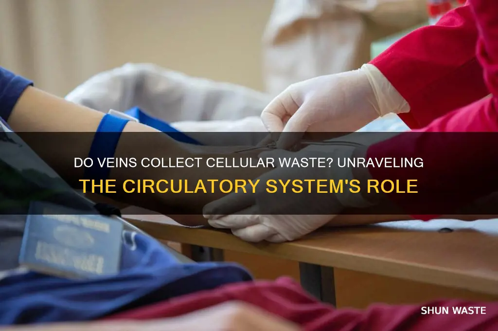 do veins pick up waste materials from the cells