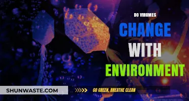 Environmental Shifts and Their Impact on Virome Dynamics