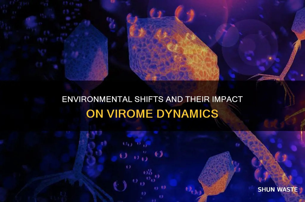 do viromes change with environment