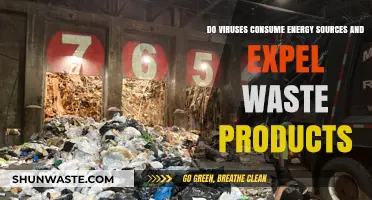 Do Viruses Utilize Energy and Produce Waste? Exploring Microbial Mysteries