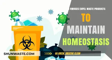 Do Viruses Expel Waste to Maintain Internal Balance and Homeostasis?