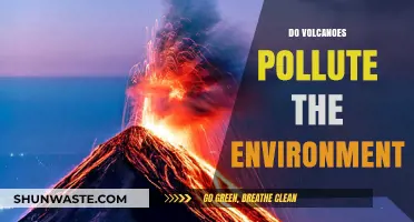 Volcanoes: Nature's Polluters or Purifiers?