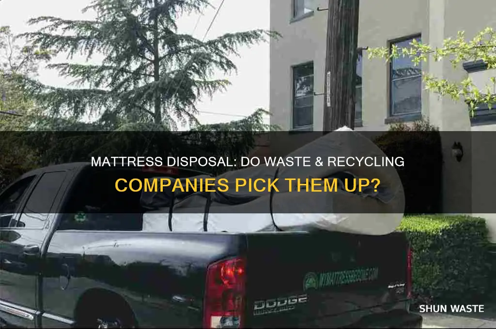 do waste and recyclling companies pick up mattresses